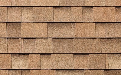How Much Does a Shingle Roof Cost?
